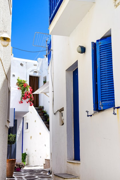 What to Eat in Greece: A Culinary Journey